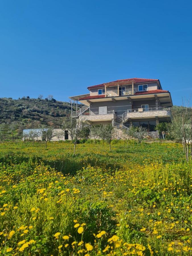 Guest House Ilir Berat Luaran gambar